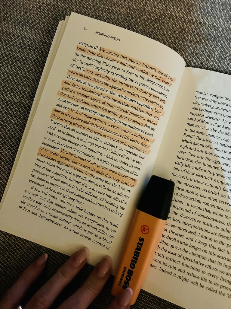 Freud Death Instinct